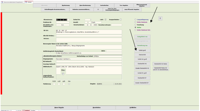 Vorschaubild der Version vom 1. Juli 2025, 10:04 Uhr