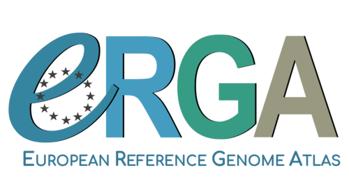 Erga logo.png