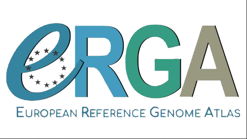 Thumbnail for version as of 15:45, 2 July 2025