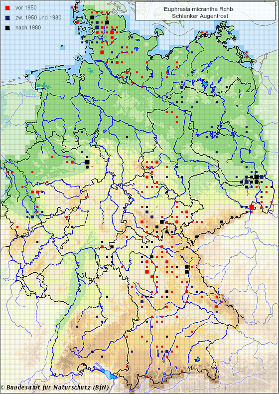 (Quelle: NetPhyD, BfN 2013)