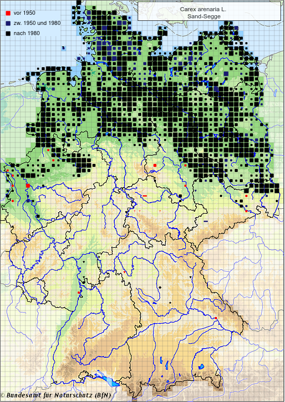 (Quelle: NetPhyD, BfN 2013)
