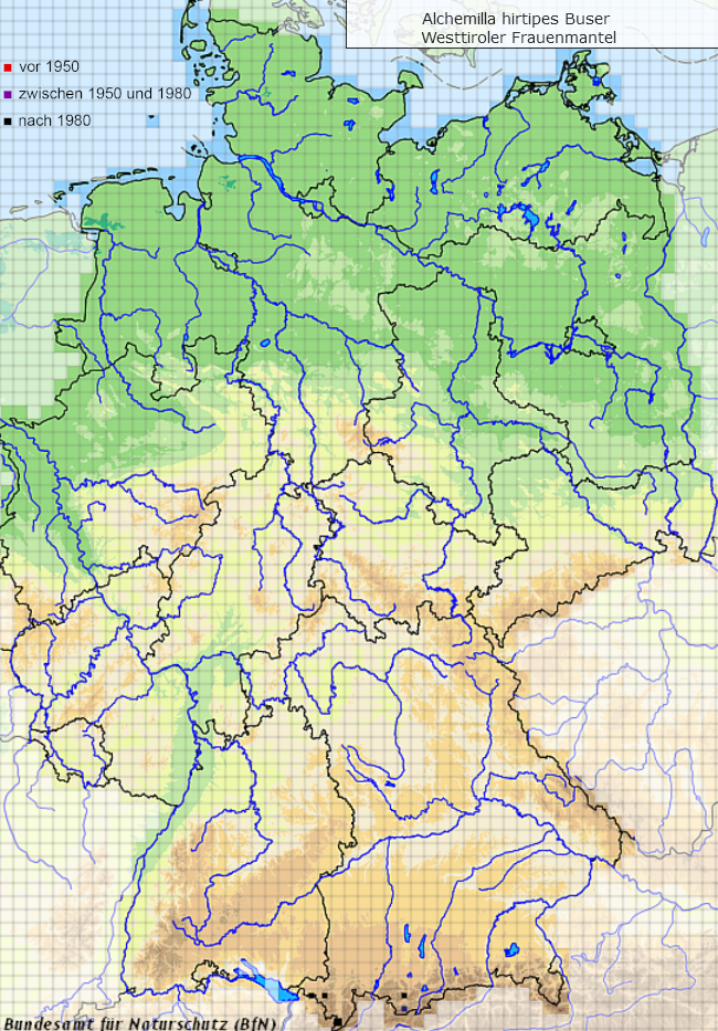 (Quelle: Floraweb 2020)